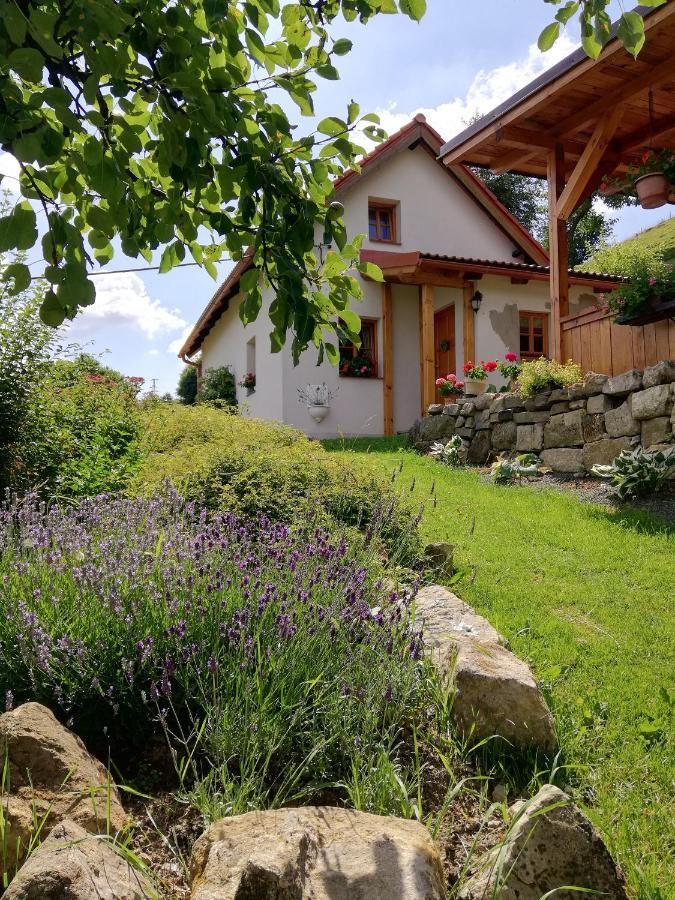 FrýdštejnCharming House With Beautiful Landscape别墅 外观 照片
