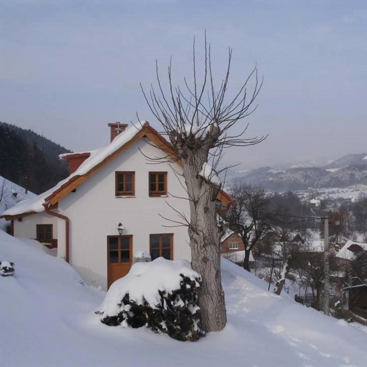 FrýdštejnCharming House With Beautiful Landscape别墅 外观 照片
